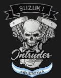 CRONICA DEL 2DO ENCUENTRO SUZUKI INTRUDER